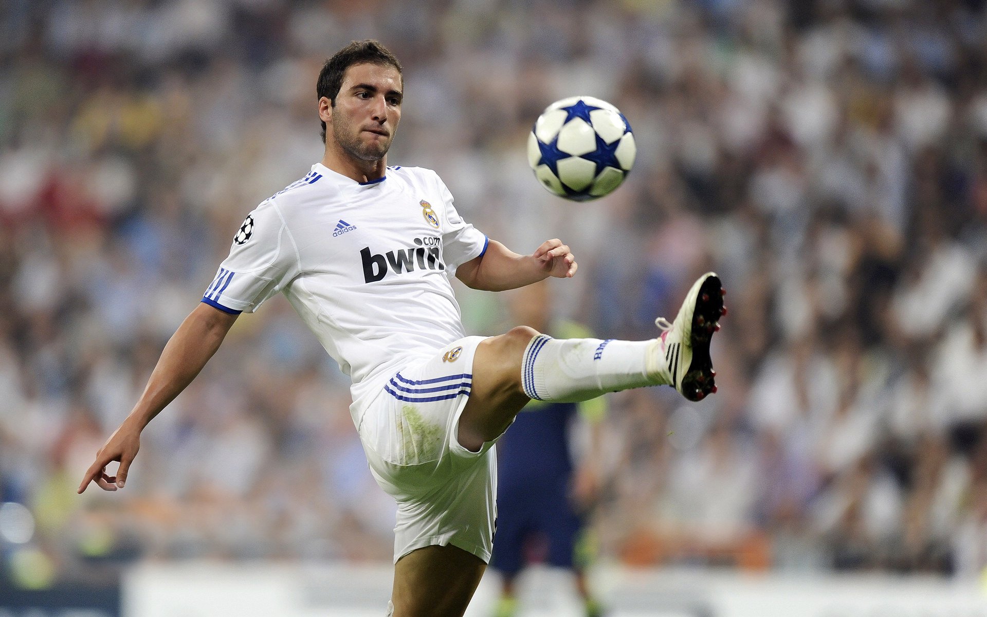 美国队未来潜力:如何通过多元化训练打造全面型选手,美国队怎么样